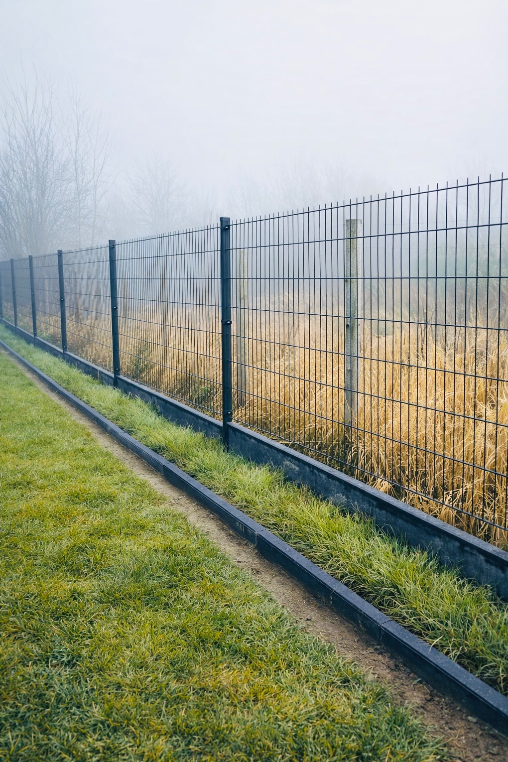 Nowoczesne ogrodzenie panelowe w mglisty dzień. Ciemne panele kontrastują z zielenią trawy i suchą trawą za ogrodzeniem. Widoczne betonowe obrzeża.