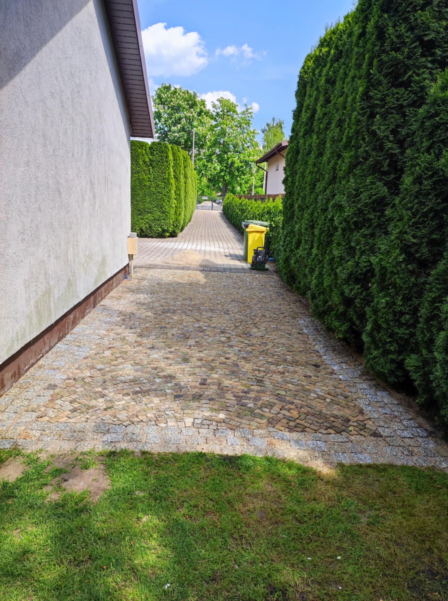 Ułożona kostka granitowa tworząca ścieżkę między budynkiem a żywopłotem z tui, z żółtym pojemnikiem na śmieci w tle. Widok z poziomu trawnika.