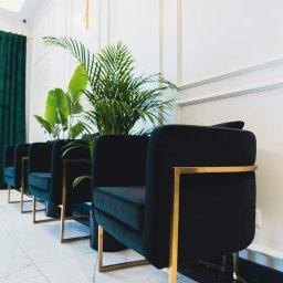 Damian Kowalczyk - Elegancka poczekalnia: rzad czarnych foteli z złotymi nogami, marmurowa podłoga, białe ściany z sztukaterią i zielone rośliny doniczkowe. Nowoczesny design.