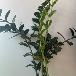 Instalacje elektryczne Warszawa 1