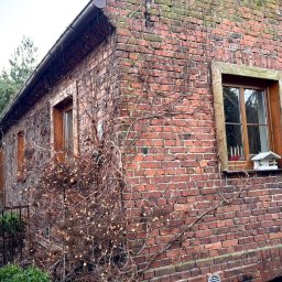 Profesjonalne Fugowanie Klinkieru - Fuga & Detal - Ceglana elewacja domu z drewnianymi oknami, porośnięta bluszczem. Na parapecie drewniany karmnik dla ptaków. Widok z zewnątrz, w pochmurny dzień.