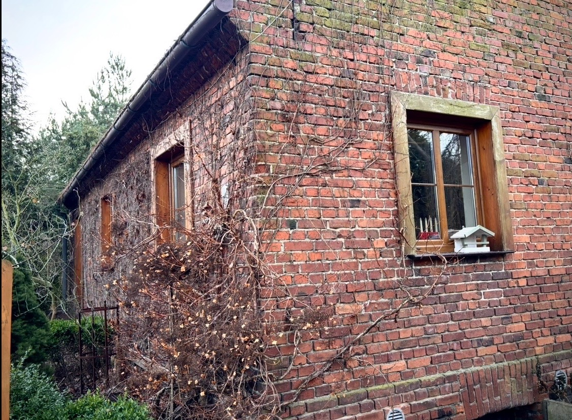 Ceglana elewacja domu z drewnianymi oknami, porośnięta bluszczem. Na parapecie drewniany karmnik dla ptaków. Widok z zewnątrz, w pochmurny dzień.