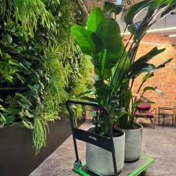 Aranżacja mieszkań Warszawa 3