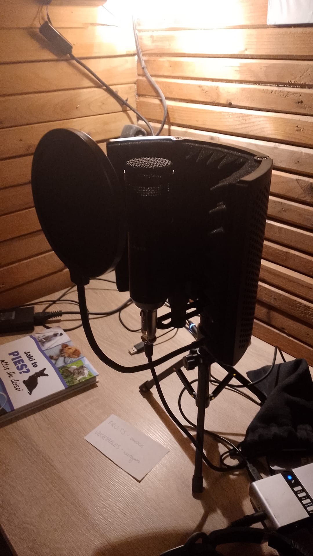 nagrania lektorskie i wokalne