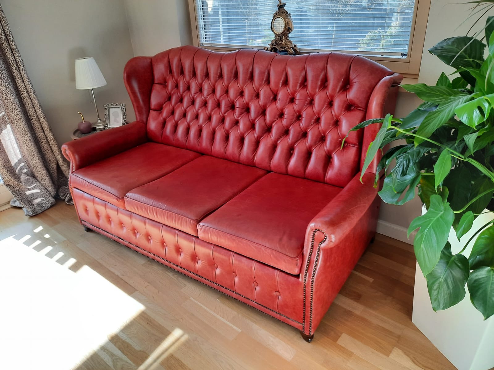Czerwona, skórzana sofa typu Chesterfield z wysokim oparciem, pikowana, z dekoracyjnymi nitami, stojąca w jasnym wnętrzu obok okna i rośliny doniczkowej.