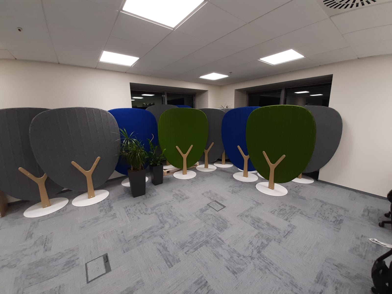 Biuro z panelami akustycznymi w kształcie drzew w kolorach szarym, niebieskim i zielonym. Dodatkowo widoczne rośliny w donicach. Wykładzina dywanowa w szarym odcieniu.