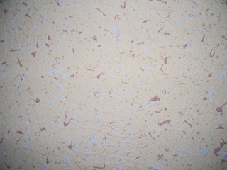 remonty i wykończenia