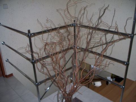 Tapety natryskowe Dialcolor