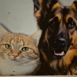 Malowanie mieszkań Zgorzelec 2