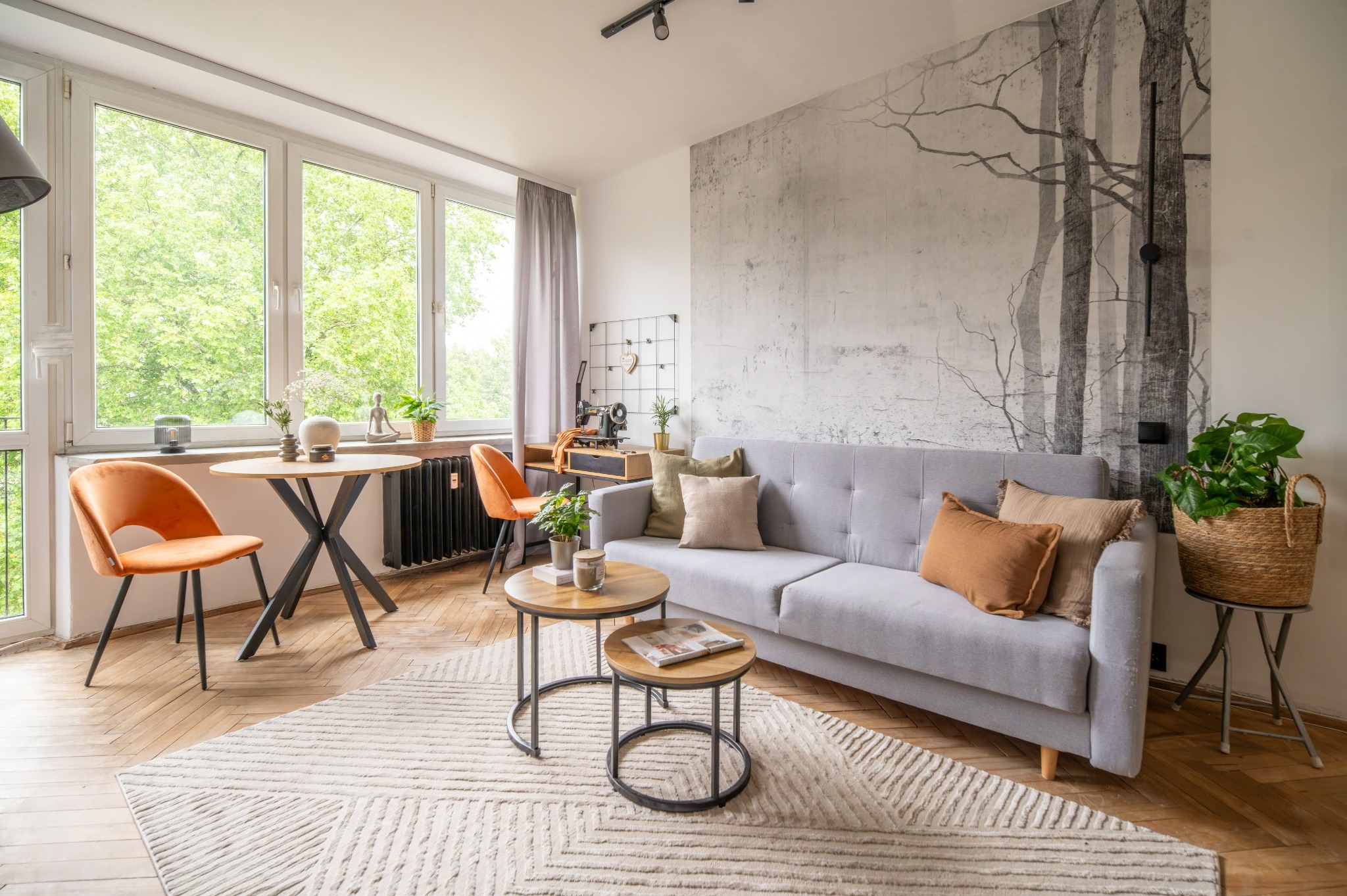Jasne wnętrze kawalerki z szarą sofą, okrągłym stolikiem kawowym i pomarańczowymi krzesłami. Na ścianie fototapeta z motywem drzew. Parkiet w jodełkę.
