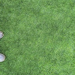 JANBUD - Gęsta, soczysta trawa z bliska, z fragmentami butów w lewym dolnym rogu. Intensywna zieleń, równomierne oświetlenie, brak widocznych chwastów. Idealny trawnik.