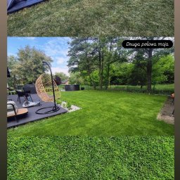 JANBUD - Porównanie trawnika: początek kwietnia (sucha trawa) i druga połowa maja (soczysta zieleń). Widoczny fragment tarasu i elementy wyposażenia ogrodu.