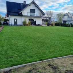 JANBUD - Perfekcyjny trawnik z rolki w Namysłowie przed nowoczesnym domem z panelami słonecznymi. Równa, zielona powierzchnia, obrzeża z kostki. Tuje wzdłuż ogrodzenia.