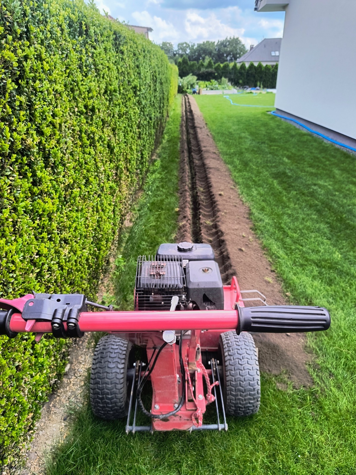 Czerwona glebogryzarka tworzy wąski wykop w trawie, obok żywopłotu. Widok z perspektywy operatora, w tle dom i błękitny wąż ogrodowy.