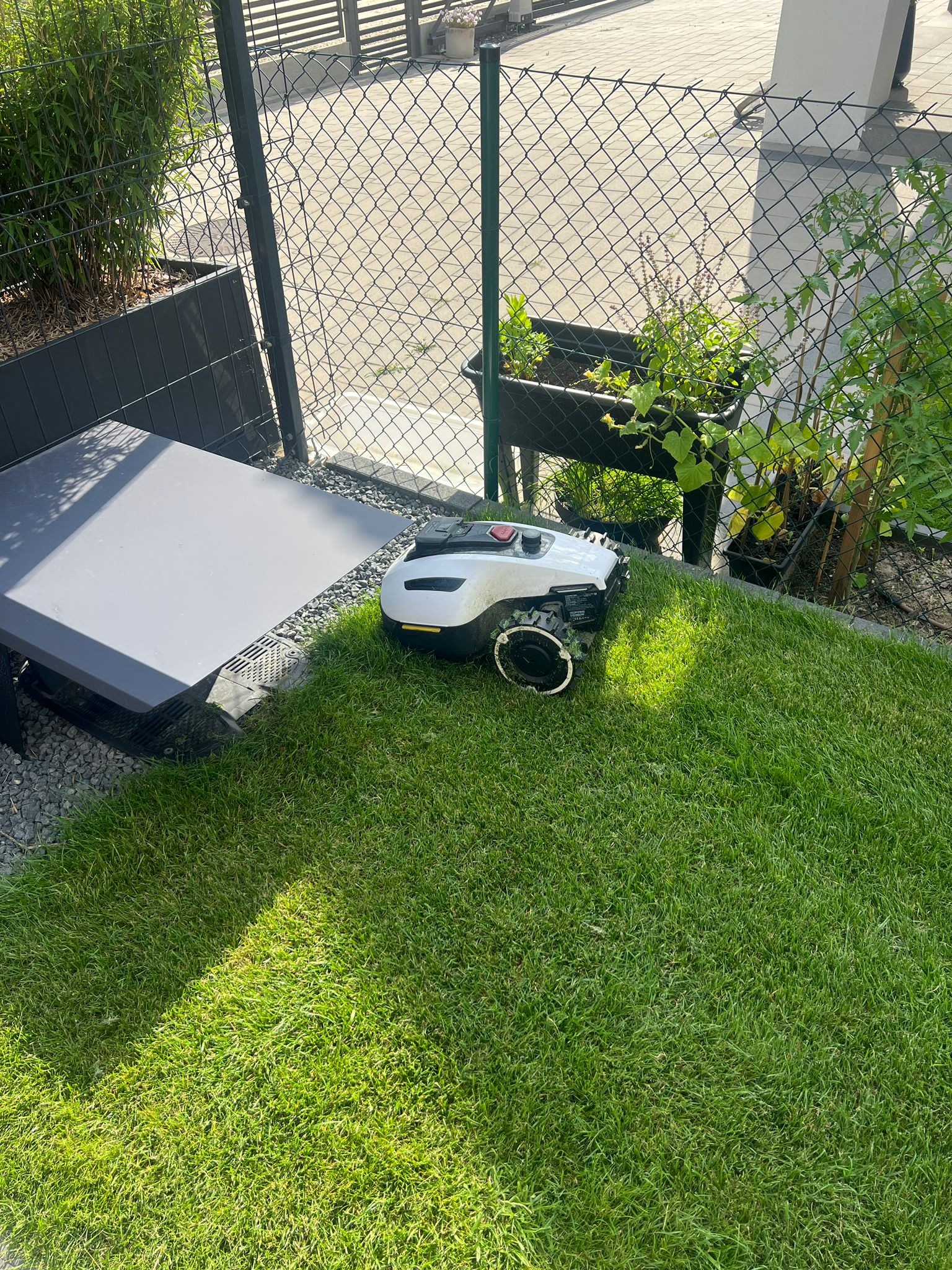 Robot koszący trawę na zielonym trawniku, obok szarego leżaka i czarnego ogrodzenia z siatki. W tle widoczne rośliny w donicach.