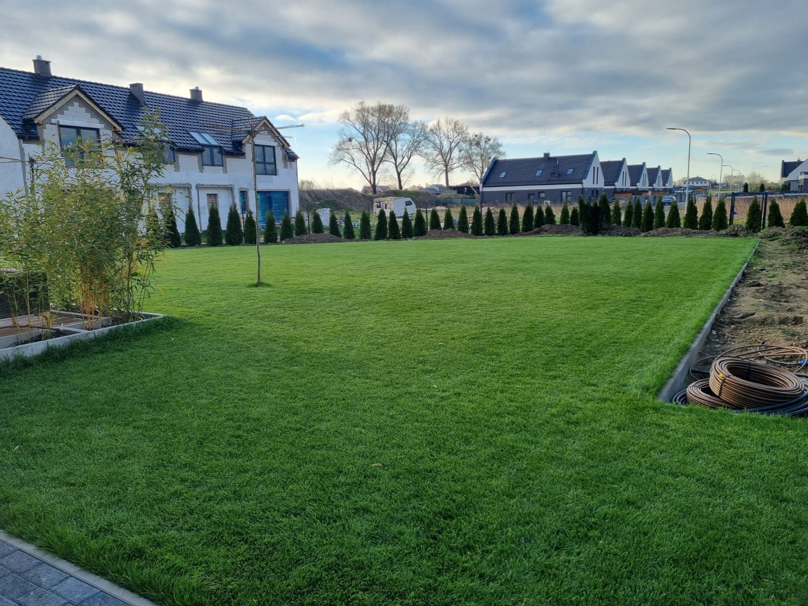 Świeżo założony trawnik z rolki na tle nowych domów i tuj, z widocznymi zwojami węży nawadniających przy obrzeżu. Idealnie równa powierzchnia trawy.