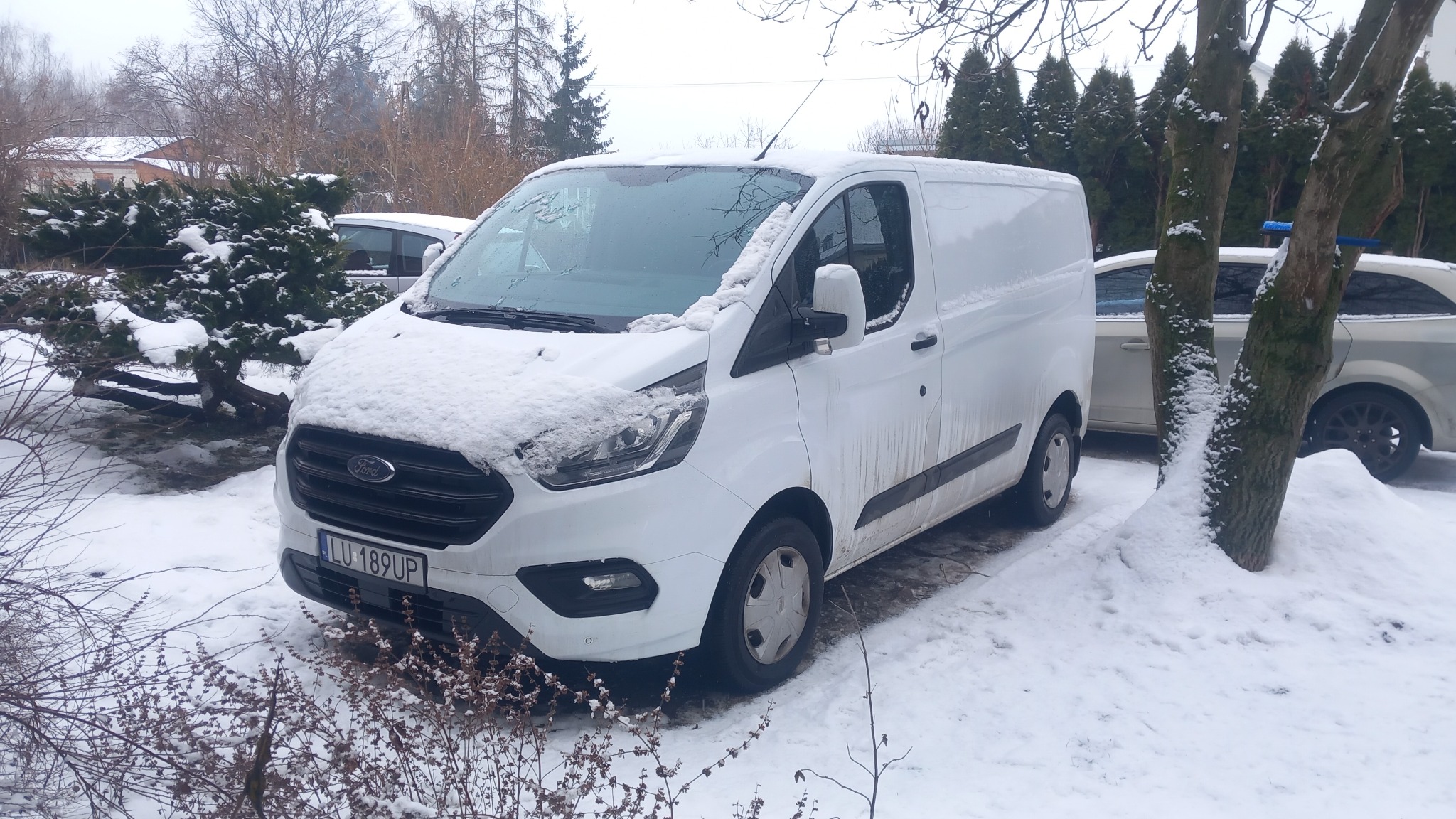 Biały furgon Ford Transit Custom, lekko ośnieżony, zaparkowany na śniegu w zimowej scenerii. Widoczne drzewa i krzewy pokryte śniegiem, w tle budynki.
