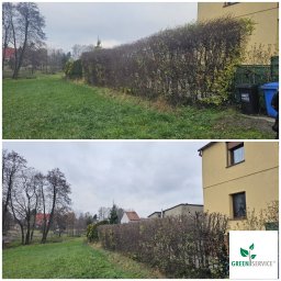 Wycinka drzew Stanowice 1