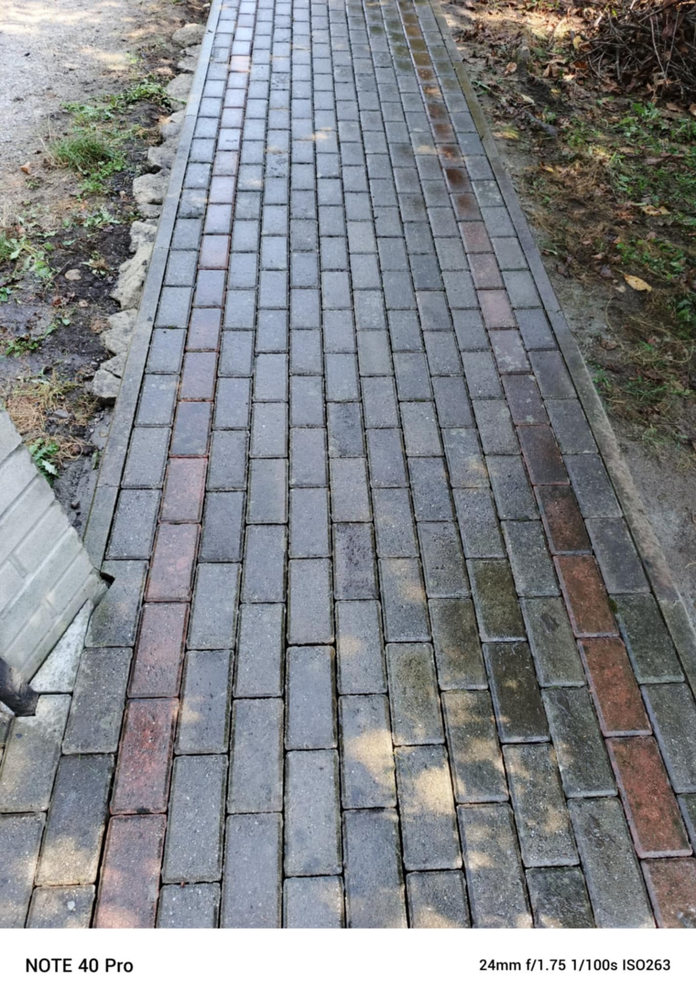 Ścieżka z prostokątnej, szarej kostki brukowej z rzędem czerwonych akcentów, prowadząca przez ogród. Widok z góry, lekko z ukosa, podkreśla fakturę i ułożenie.