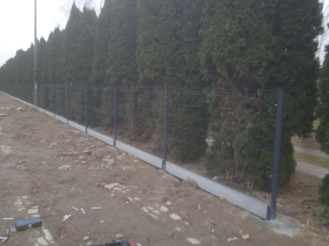 Nowoczesne ogrodzenie panelowe z podmurówką betonową, widoczne na tle rzędu wysokich, zielonych tuj. Na ziemi widoczne narzędzia montażowe.