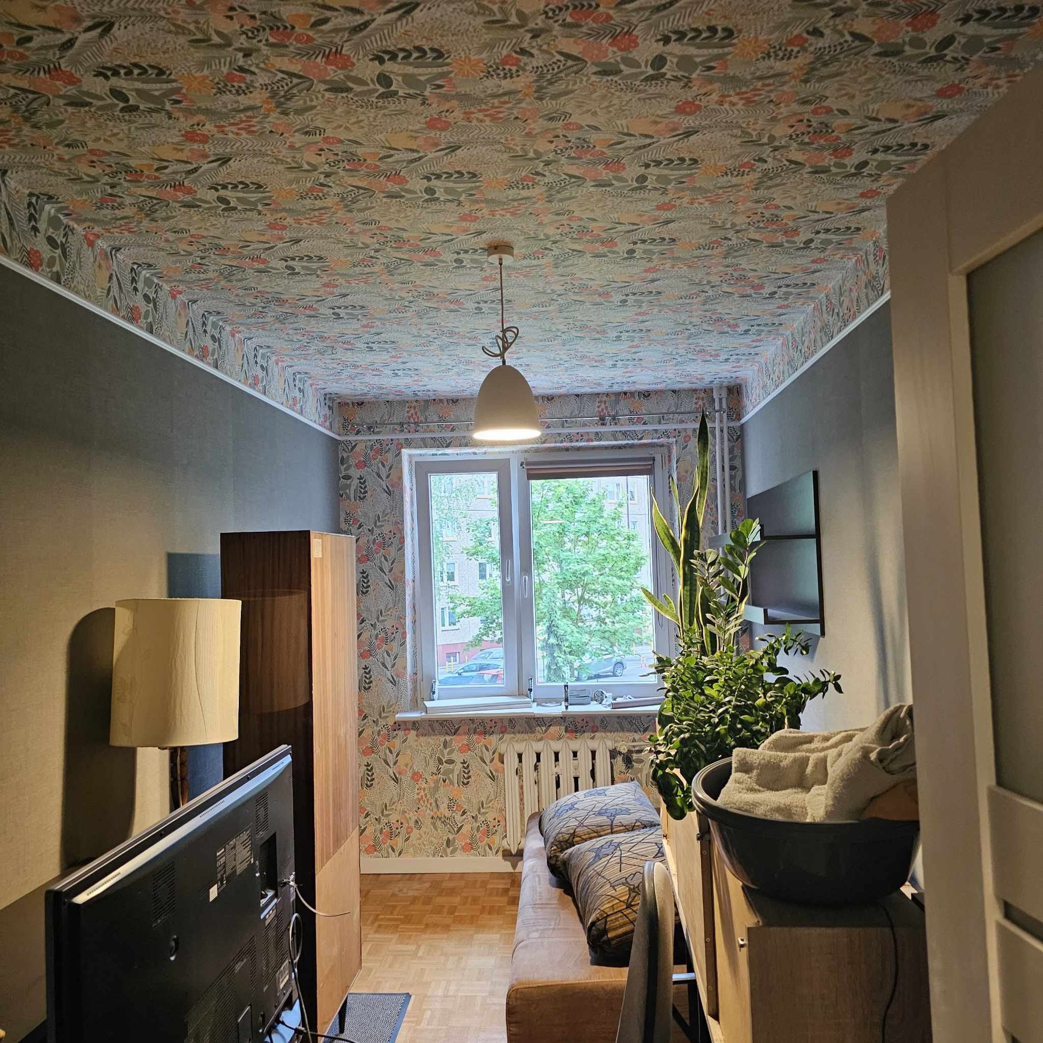 Pokój po remoncie: wzorzysta tapeta na suficie i ścianie za oknem, szare ściany boczne, drewniana podłoga. Widok na okno i rośliny doniczkowe.