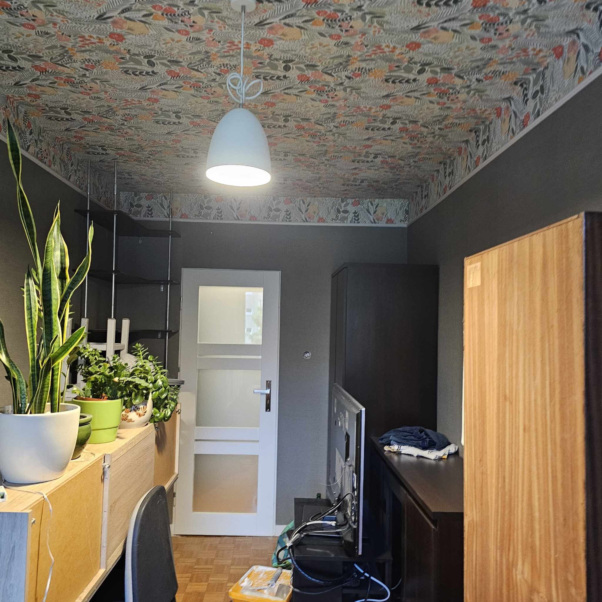 Pokój po remoncie: wzorzysta tapeta na suficie, szare ściany, białe drzwi z szybami, rośliny doniczkowe i lampa wisząca. Widoczne meble i sprzęt RTV.