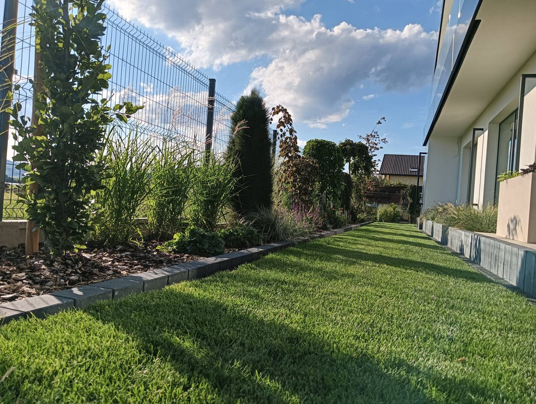 Zadbany trawnik z ozdobnymi nasadzeniami wzdłuż ogrodzenia i budynku, widok z poziomu gruntu, słoneczny dzień.