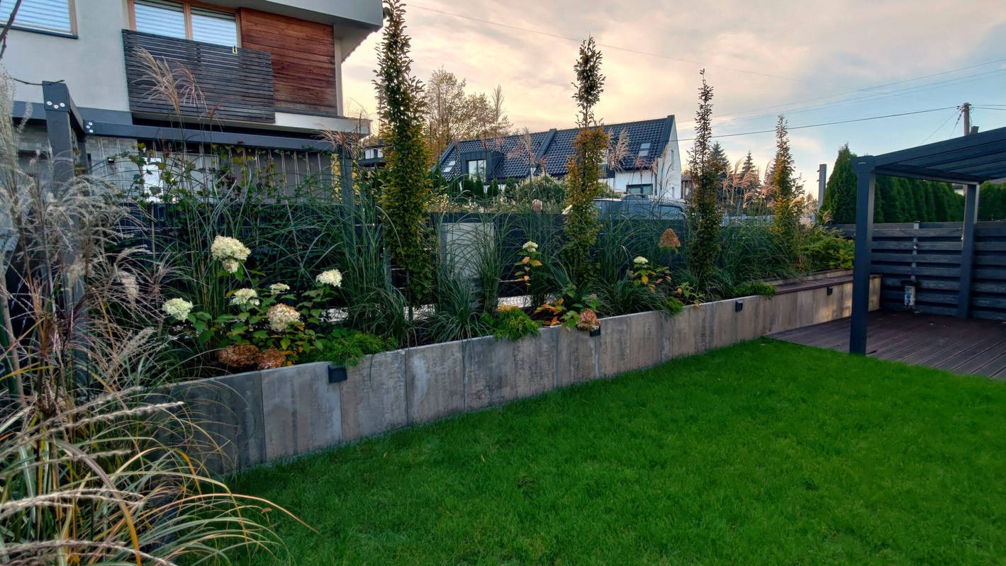 Nowoczesny ogród z podwyższonymi rabatami z betonu, ozdobnymi trawami, hortensjami i strzyżonymi drzewkami iglastymi. W tle dom z ciemną dachówką i drewnianą elewacją.