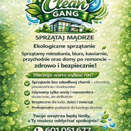 Sprzątanie mieszkań Staniszewo 3