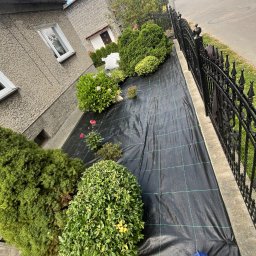 Trawa z rolki Sosnowiec 1