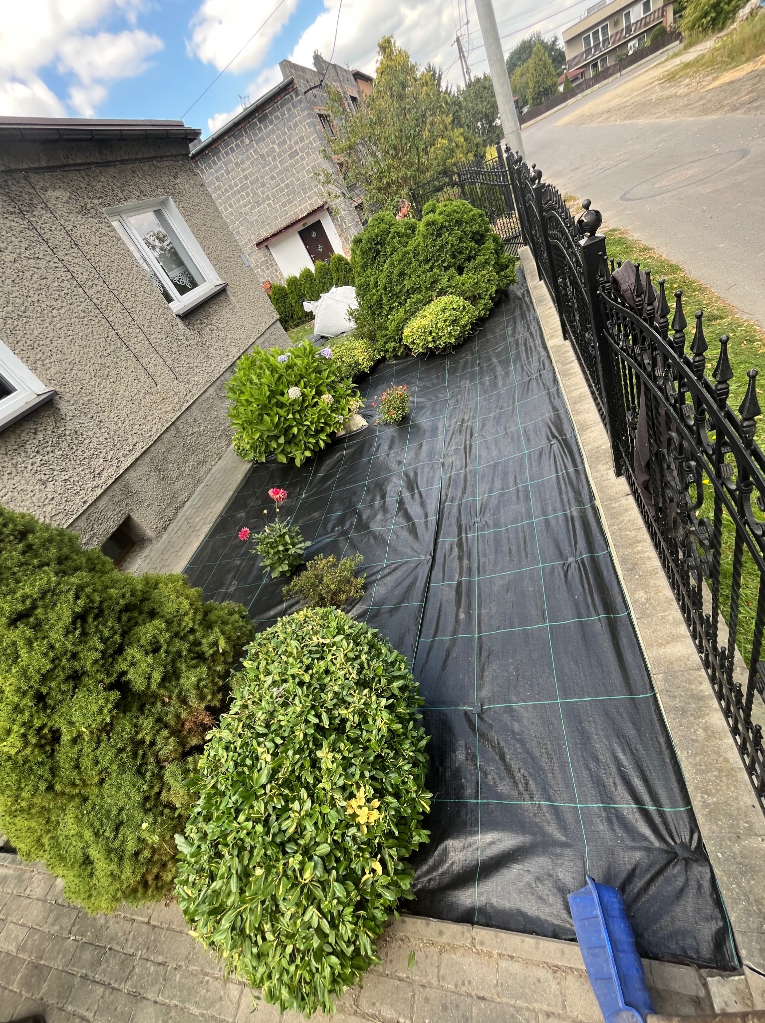 Przygotowanie rabaty: czarna agrowłóknina rozłożona między ozdobnymi krzewami i kwiatami, obok metalowe ogrodzenie i chodnik z kostki, dom w tle.