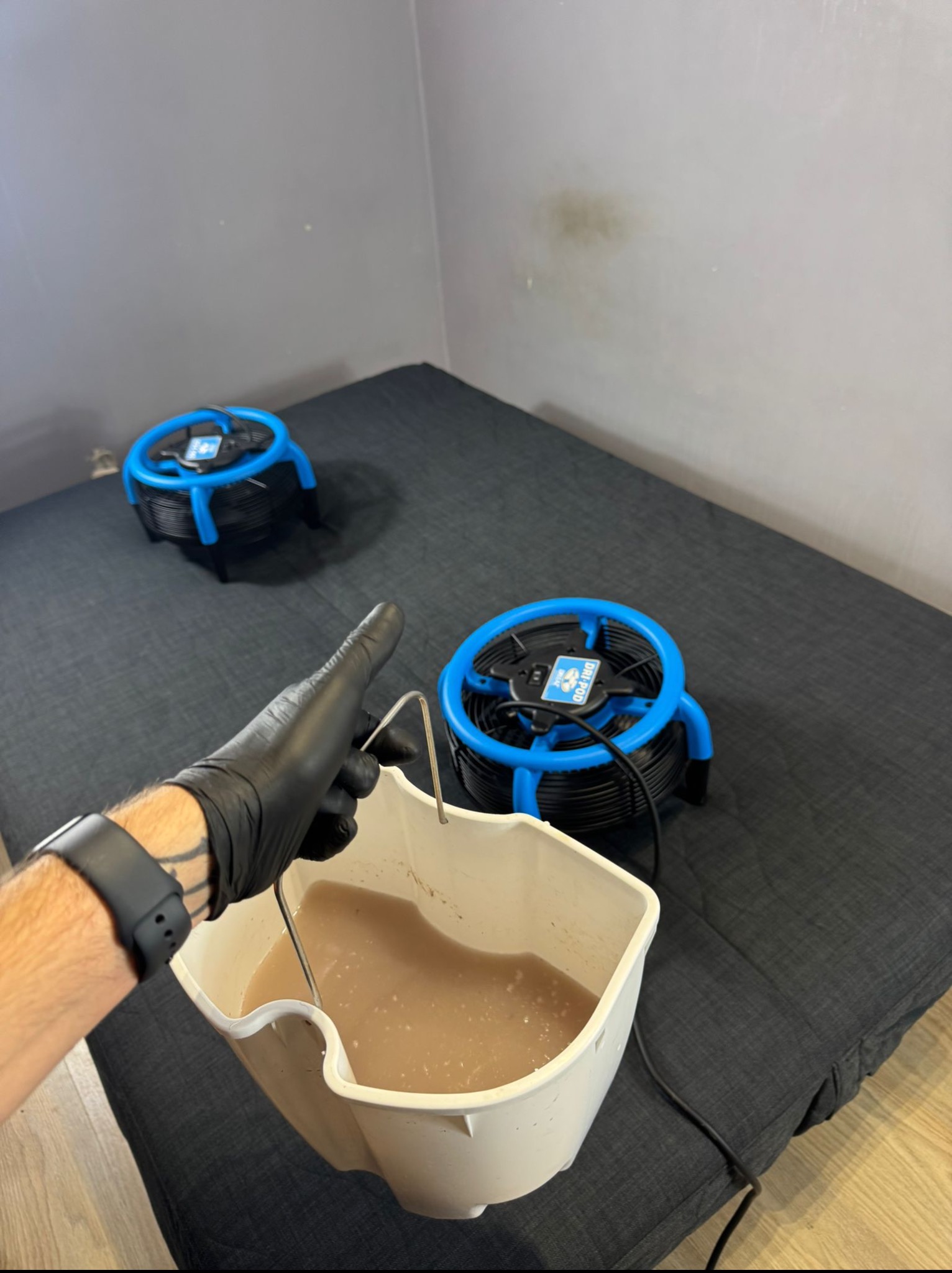 Materac po czyszczeniu: widoczny brud w wiadrze i wentylatory osuszające. Ręka w rękawicy trzyma wiadro z brudną wodą. Dwa wentylatory na materacu.