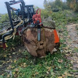 Wycinka drzew Opole Lubelskie 2