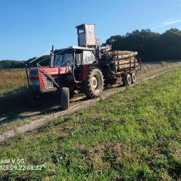 Wycinka drzew Opole Lubelskie 3