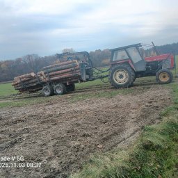 Wycinka drzew Opole Lubelskie 4