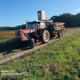 Zakład Usług Leśnych Paweł Superson - Nasadzanie Drzew Opole Lubelskie