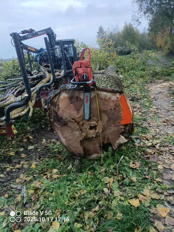 Pomarańczowa piła łańcuchowa spoczywa na świeżo ściętym pniu drzewa z pomarańczowym oznaczeniem, w tle maszyna do wycinki i gałęzie na zewnątrz.
