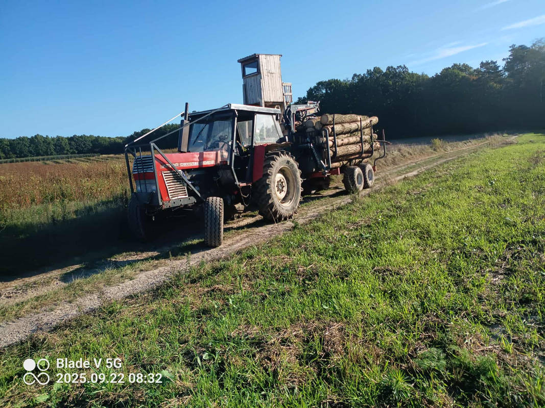 Czerwony traktor z przyczepą pełną ściętych pni drzew na polnej drodze, w tle las i błękitne niebo. Widoczny fragment łąki z trawą.