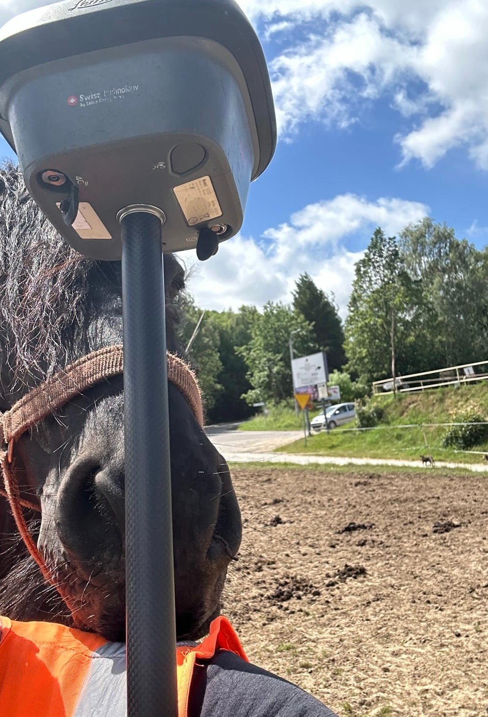 Nietypowe ujęcie: koń z odbiornikiem GPS Leica, prawdopodobnie na pastwisku. W tle droga i zieleń. Odbiornik na tyczce, widoczny fragment pomarańczowej kamizelki.