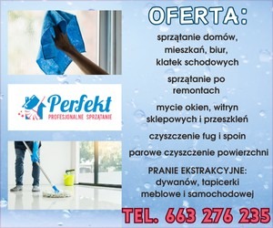 Grafika reklamowa usług sprzątania: domów, mieszkań, biur, po remontach, mycia okien, czyszczenia fug, prania ekstrakcyjnego. Kontakt telefoniczny.