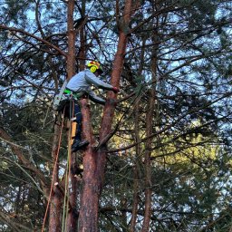 ARBO-TECH MARCIN ZAWADZKI - Prace działkowe Głog&oacute;w