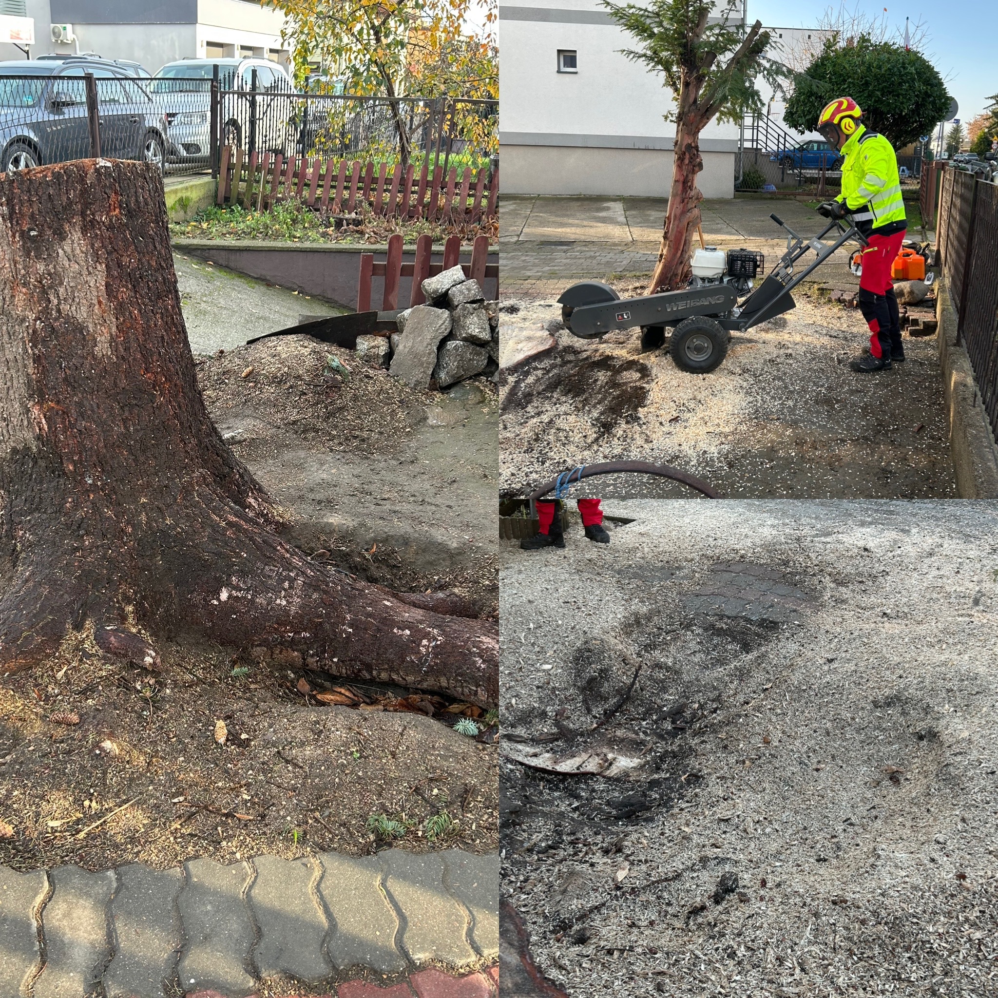 frezowanie pni i korzeni