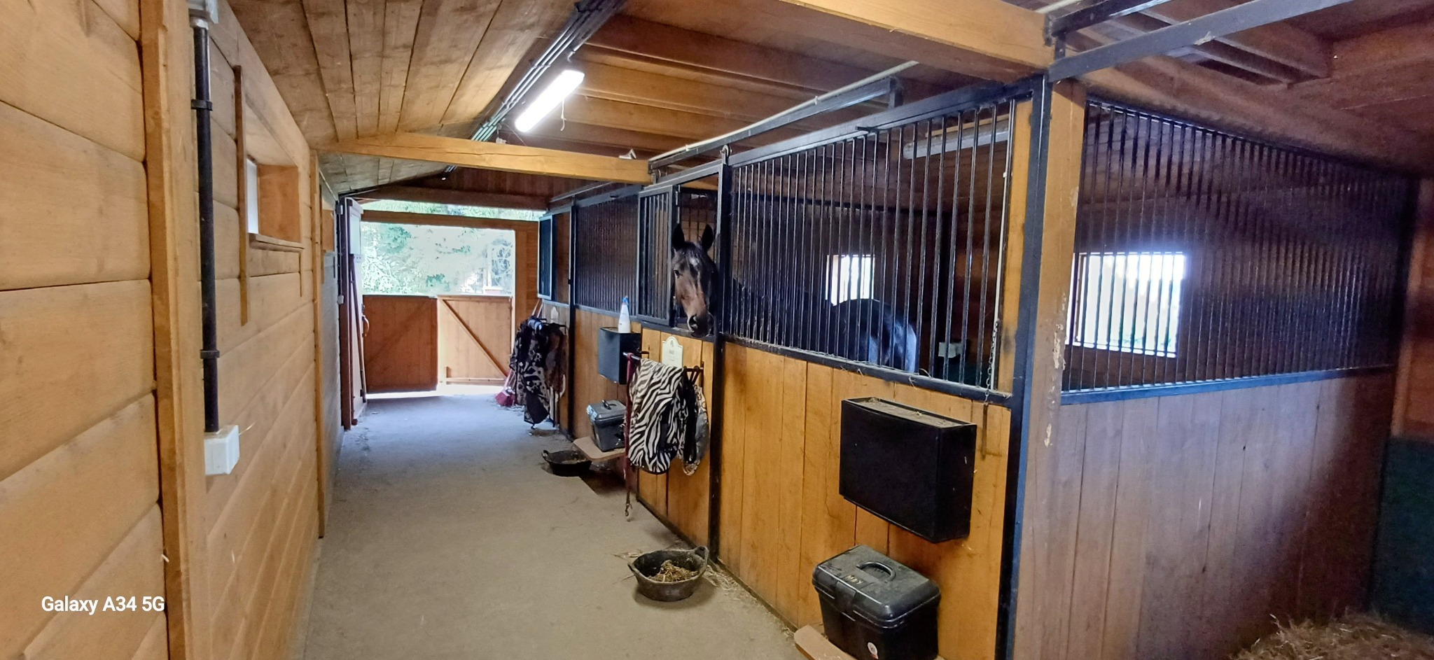 Wnętrze stajni z drewnianą konstrukcją, widoczne boksy z metalowymi kratami i końmi. Na ścianach wiszą akcesoria jeździeckie, a podłoga jest wyłożona słomą.