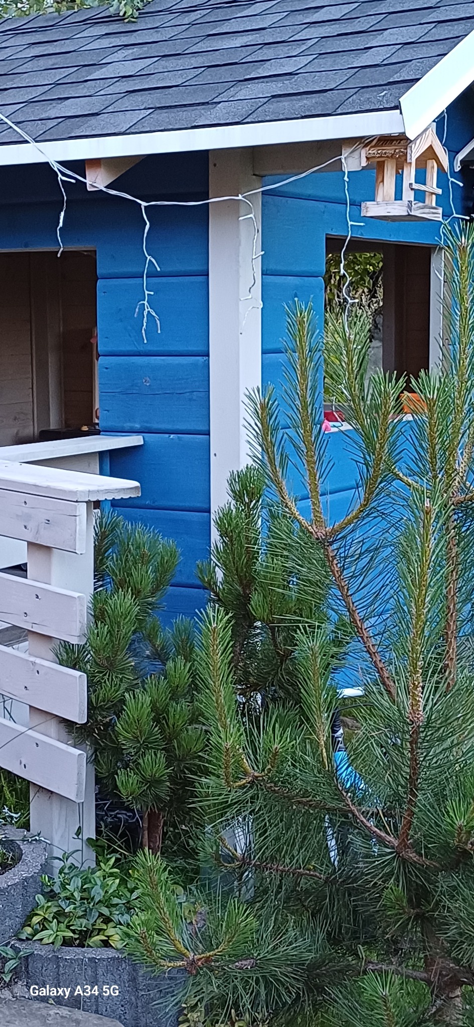 Niebieska konstrukcja z drewnianymi elementami, oświetlona girlandą, z karmnikiem dla ptaków, widziana zza iglaków. Fragment balustrady w lewym dolnym rogu.