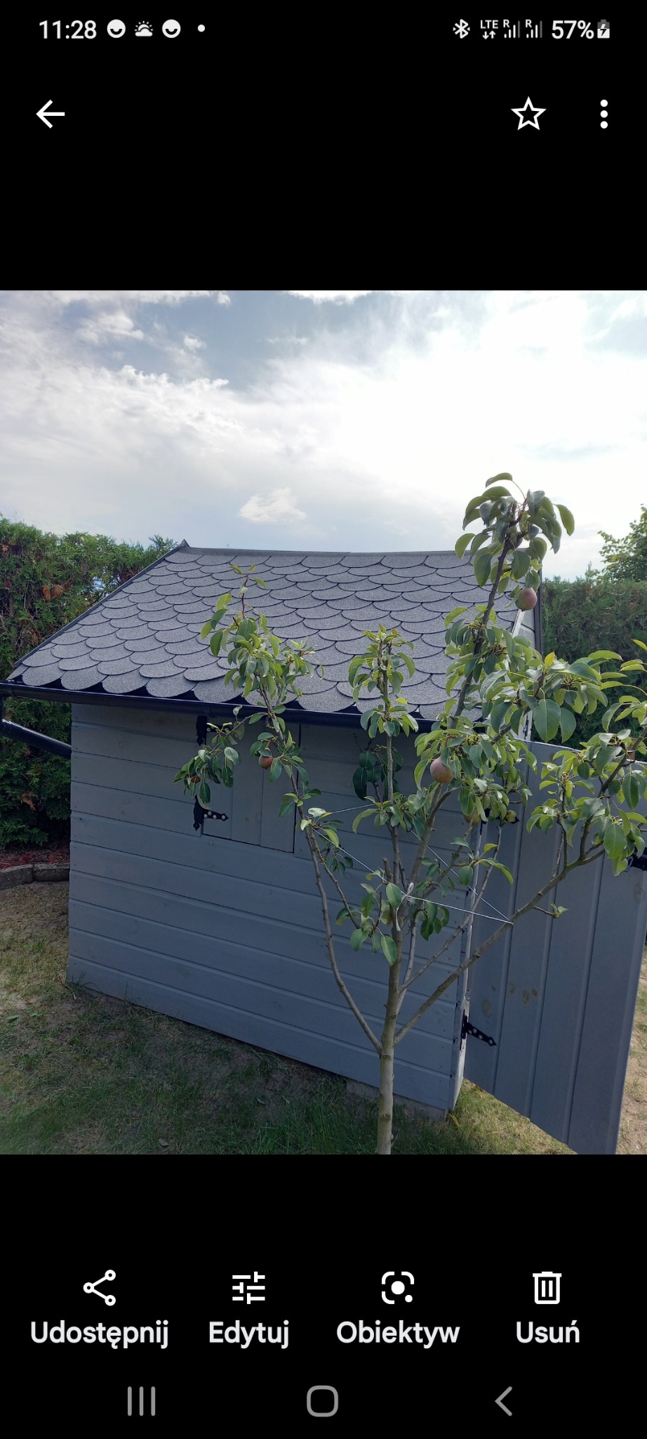 Szara altana z dachem pokrytym gontem bitumicznym, widoczna zza drzewka owocowego. Metalowe okucia okiennic. Tło: zielony żywopłot i błękitne niebo.