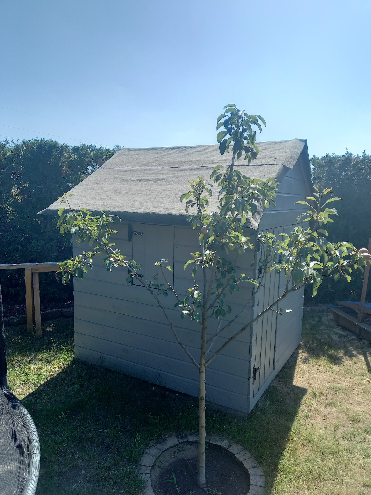 Mała, szara altana ogrodowa z dwuspadowym dachem, częściowo zasłonięta przez młode drzewko owocowe w słoneczny dzień. W tle zielony żywopłot i fragment trampoliny.
