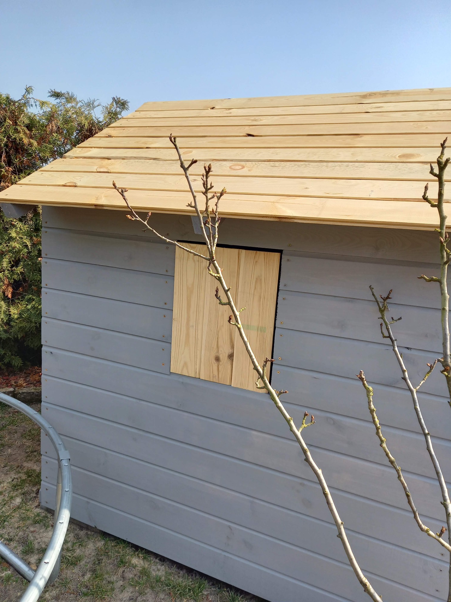 Szara, drewniana altana z jasnym dachem i zamkniętym oknem, widziana z bliska w słoneczny dzień. W tle zieleń, na pierwszym planie gałęzie drzewa.