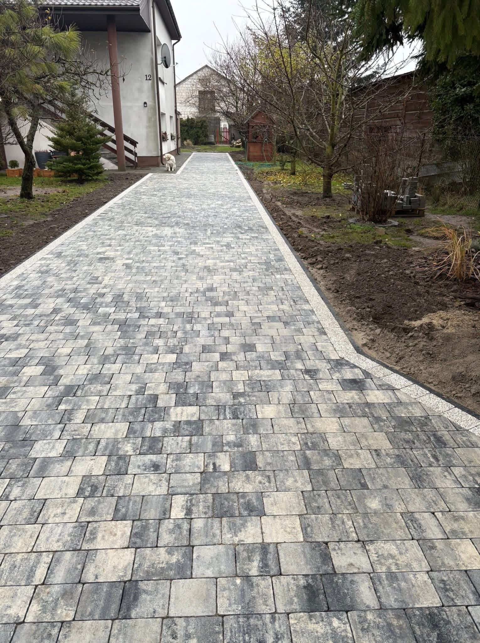 Ułożona szara kostka brukowa prowadząca do domu z numerem 12, obrzeża z jasnego kamienia. Widoczny fragment ogrodu i drzewa bez liści. Pies na ścieżce.