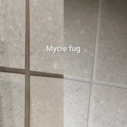 Mycie fug