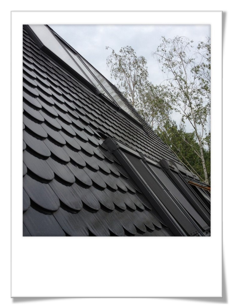 Ciemna dachówka karpiówka na skośnym dachu z oknami połaciowymi, widok z dołu, drzewa w tle.